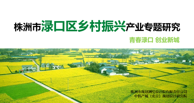 中機(jī)院承接《株洲市淥口區(qū)鄉(xiāng)村振興產(chǎn)業(yè)專題研究》