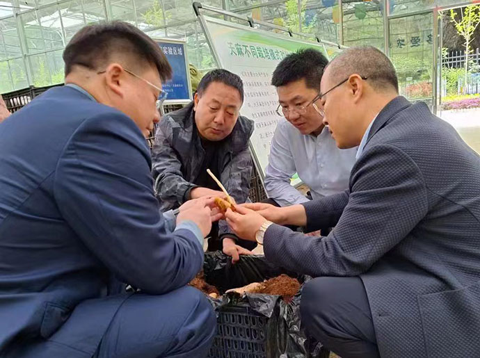 中機院一行到漢中市略陽縣考察中藥產業