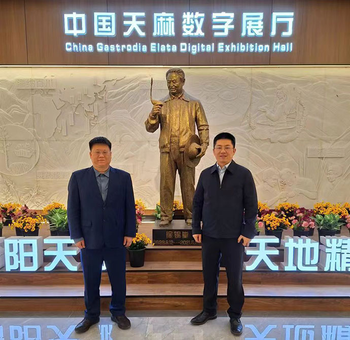 中機院一行到漢中市略陽縣考察中藥產業